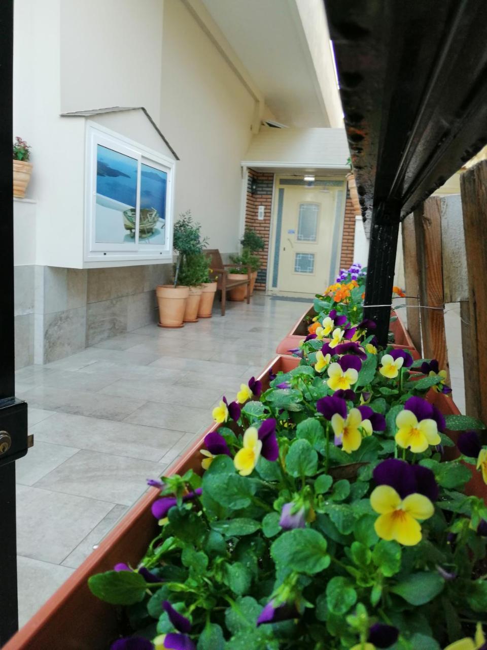 Giorgos Apartments Sea View Olympic Beach Exterior photo